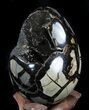Septarian Dragon Egg Geode - Shiny Black Crystals #36048-2